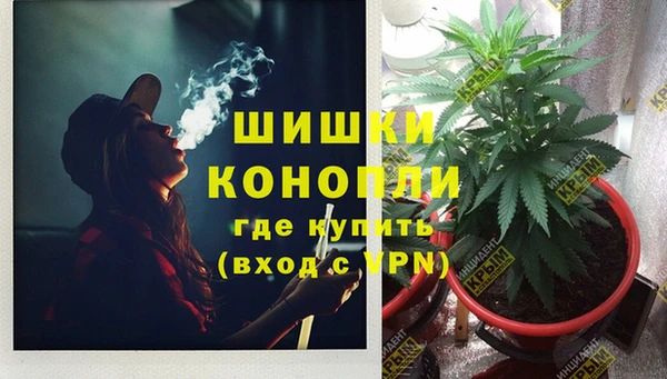 амф Абаза