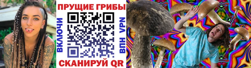 Галлюциногенные грибы GOLDEN TEACHER сколько стоит Красавино